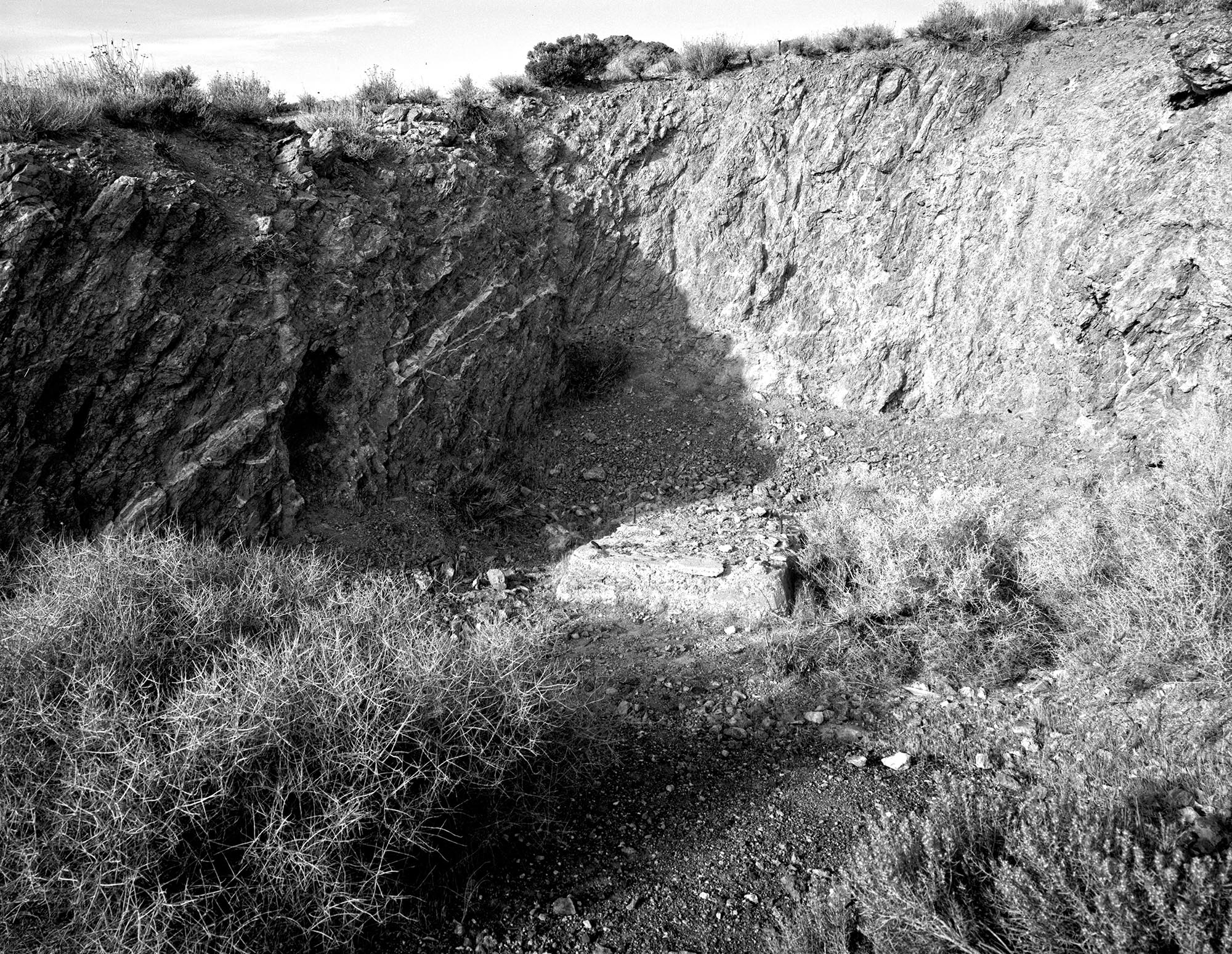 bullfrog_01 BC Gold Adventures